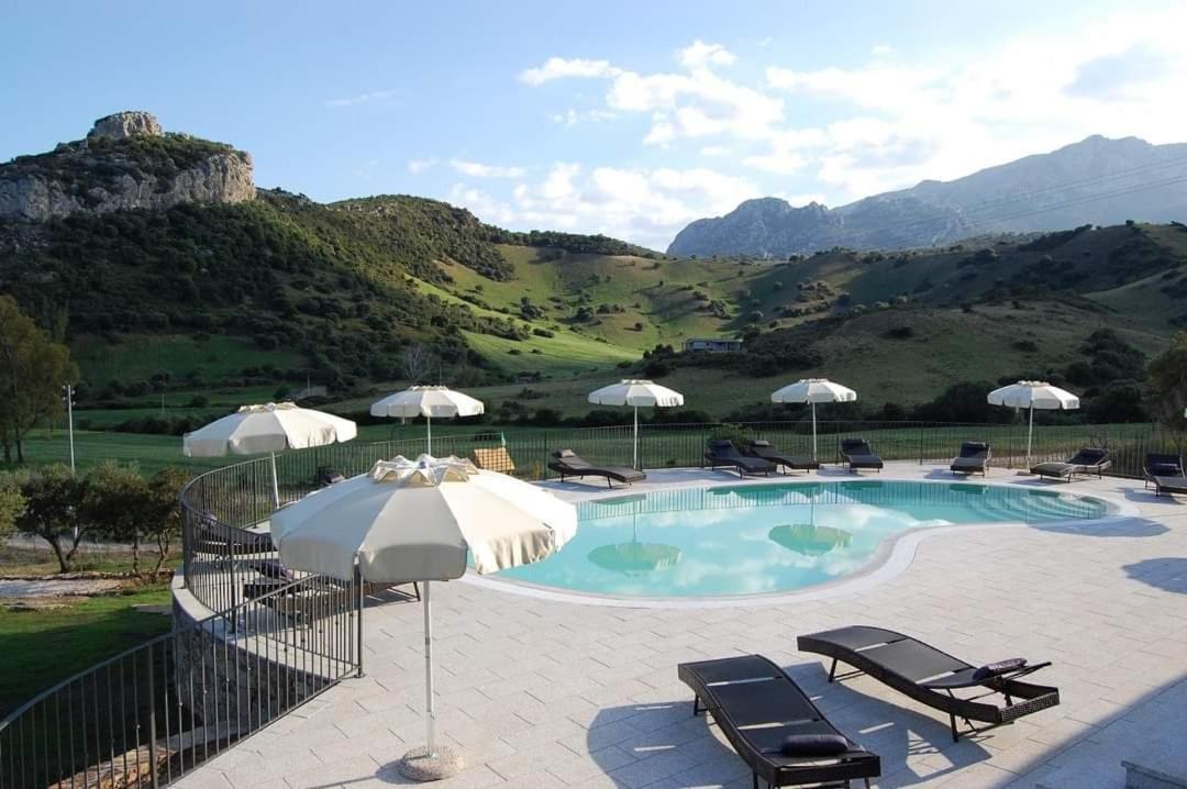 Case Vacanze Nioleo - Apartments And Pool 西尼斯科拉 外观 照片
