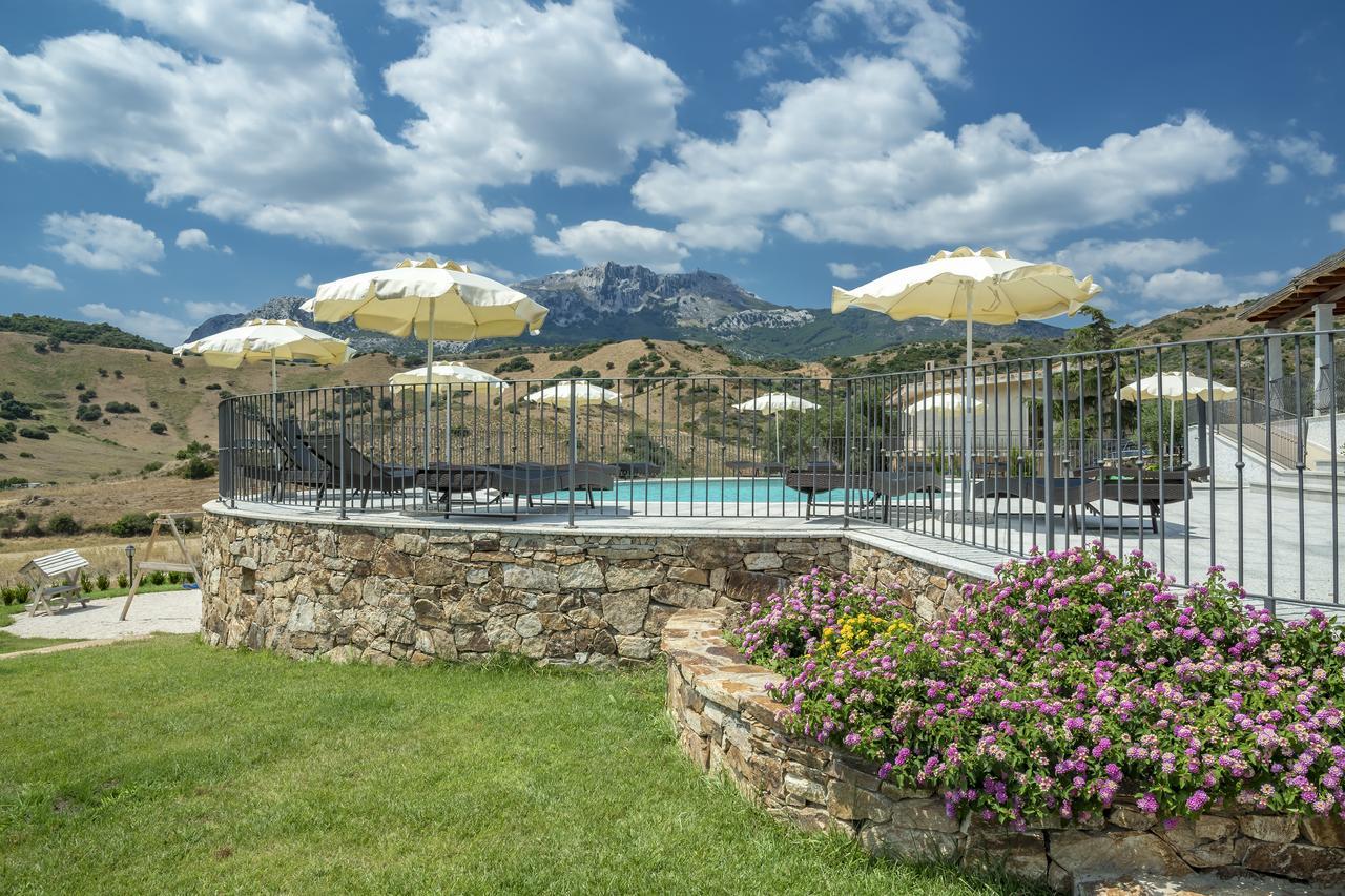 Case Vacanze Nioleo - Apartments And Pool 西尼斯科拉 外观 照片